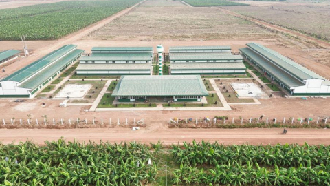 Thaco Agri đầu tư cơ sở vật chất, chăm lo đời sống người lao động