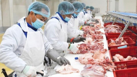 BaF Việt Nam lên tiếng về việc bị phạt 242 triệu đồng và gần 4,6 triệu cổ phiếu ESOP 'ế'