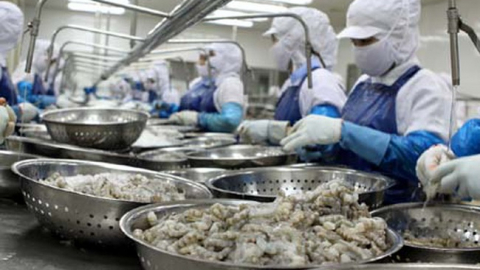 Doanh số tháng 5/2024 của Thực phẩm Sao Ta (FMC) đạt 15,5 triệu USD, tăng 43%