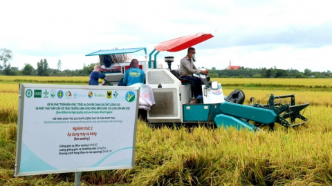 Trồng lúa kiểu mới lợi nhuận cao nhất 25,8 triệu/ha, giảm 12 tấn CO2, Bộ NNPTNT muốn xin cơ chế đặc thù về vốn