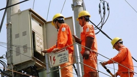 Cổ phiếu VNE của VNECO bị đưa vào diện cảnh báo, vì sao?