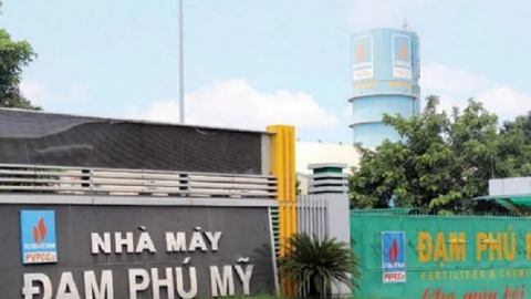 Lợi nhuận tăng 37%, Đạm Phú Mỹ (DPM) sắp chi hơn 780 tỷ đồng trả cổ tức 2023