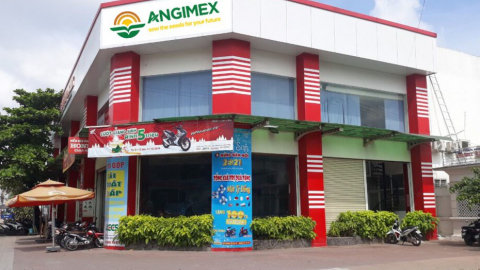 Lỗ 260 tỷ đồng, âm vốn chủ sở hữu 78 tỷ đồng, chứng khoán bị kiểm soát, Angimex khắc phục cách nào?