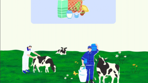 Vinamilk (VNM) chốt ngày tạm ứng cổ tức bằng tiền, tỷ lệ 24,5%