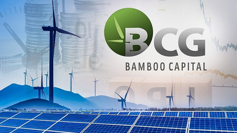 Bamboo Capital (BCG) rót vốn thành lập công ty con về trồng rừng