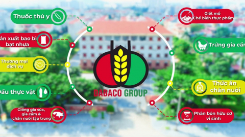 Dabaco: 'Cá mập' Pyn Elite mua thêm 1,63 triệu cổ phiếu trong bối cảnh DBC lãi 6 tháng tăng đột biến