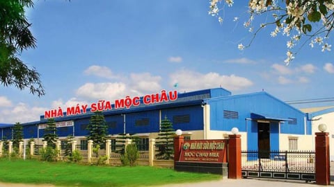Doanh thu tăng trưởng, vì sao lợi nhuận của Mộc Châu Milk và Hanoimilk vẫn sụt giảm tới hơn 50%?