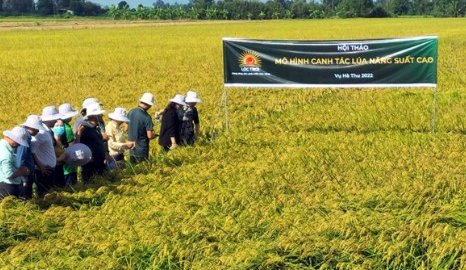 Lộc Trời (LTG) tiếp tục biến động nhân sự cấp cao