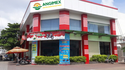 Angimex nói gì khi cổ phiếu 'nhuộm tím' 5 phiên?