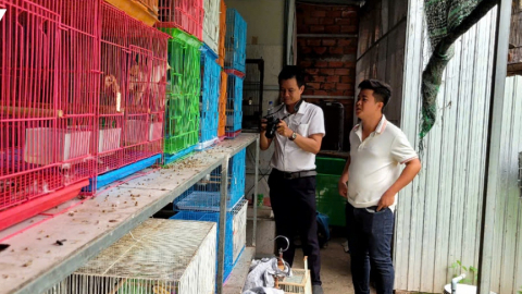 Nuôi con vật đột biến vốn xưa kia là chim hoang dã, trai Tiền Giang hễ bán là như trúng số