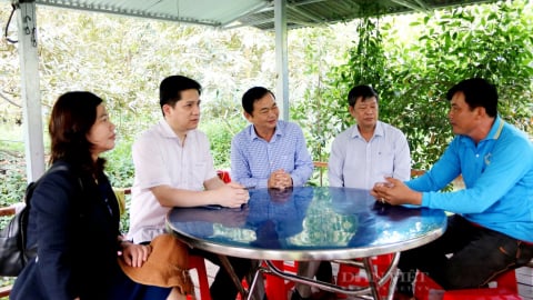 Mỗi năm thành lập mới 500 Chi hội nông dân nghề nghiệp, 5.000 Tổ hội nông dân nghề nghiệp