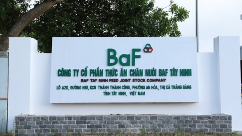Công ty chăn nuôi thứ 9 về tay BAF, mục tiêu đưa 10 triệu lợn thương phẩm ra thị trường