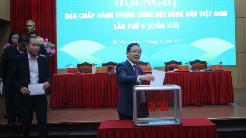Bầu bổ sung 6 Ủy viên Ban chấp hành, 3 Ủy viên Ban Thường vụ Trung ương Hội Nông dân Việt Nam