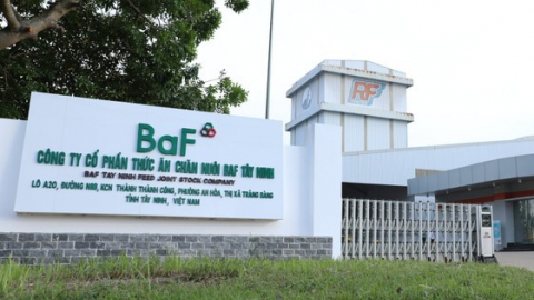 Hai 'ông lớn' ngành chăn nuôi báo lãi 'khủng' nhờ giá lợn tăng cao, Dabaco gấp 31 lần, BaF Việt Nam tăng 684%