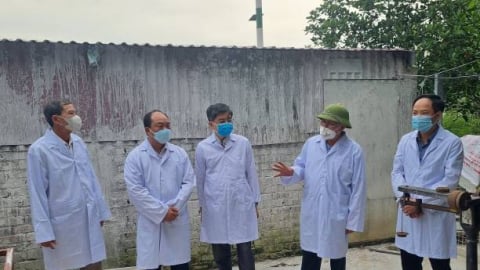 Hải Phòng: Hỗ trợ vaccine phòng cúm gia cầm, dịch tả lợn châu Phi từ nguồn ngân sách năm 2025