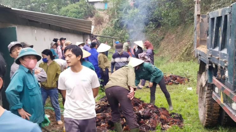 Hỏng quạt thông gió, gần 8.000 con gà chết ngạt, một nông dân Hà Tĩnh mất gần tỷ đồng