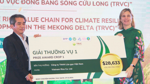 Dự án tầm quốc tế về trồng lúa giảm phát thải ở ĐBSCL: 150 doanh nghiệp tiếp cận, chỉ 8 được tham gia, vì sao?