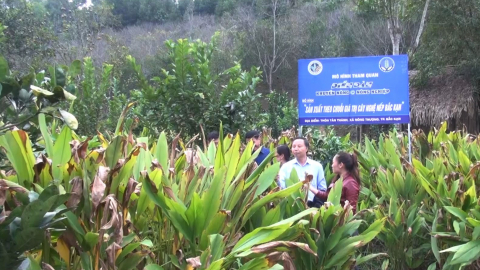 Xây dựng vùng nguyên liệu chuẩn VietGAP ở Bắc Kạn cũng là nâng cao chất lượng sản phẩm, đặc sản OCOP