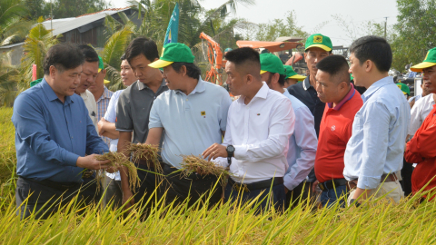 Thay đổi các tập quán lâu đời khi trồng lúa, nông dân ĐBSCL có lãi tốt hơn, giảm phát thải khí nhà kính