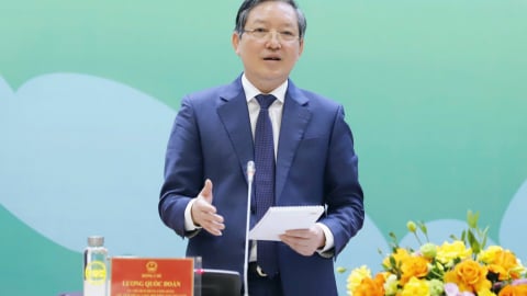 Phân công, điều chỉnh nhiệm vụ các đồng chí Thường trực, Ủy viên Ban Thường vụ, Ban Chấp hành Trung ương Hội NDVN