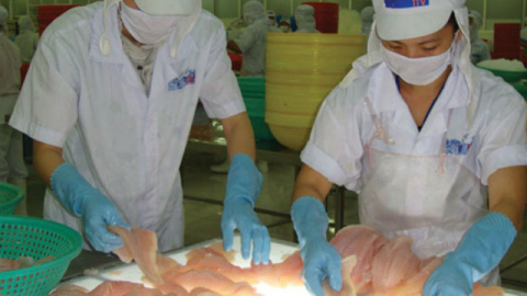 Cổ phiếu nông nghiệp: Bị nhắc nhở, cổ phiếu HVG vẫn tăng kịch trần