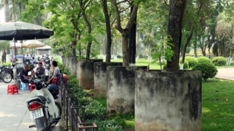 Sưa đỏ 'chui' ống cống bê-tông trốn 'sưa tặc'