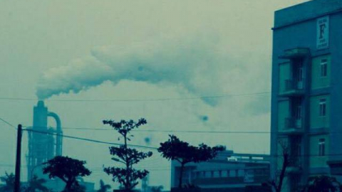 Công ty gỗ MDF Quảng Trị nộp thuế 86 triệu đồng, phả “khói trắng”… mù