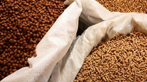 Cargill xây thêm nhà máy thức ăn chăn nuôi