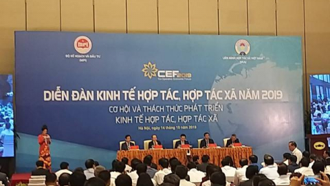 Vì sao nên có chính sách ưu đãi đối với HTX cao hơn so với DNNVV?