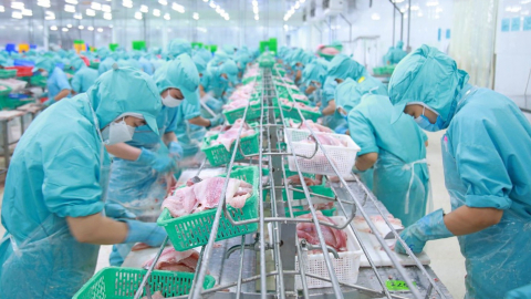 Lợi nhuận IDI 'bốc hơi' gần 85% 