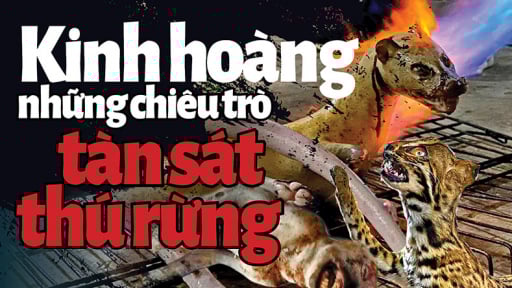 Kinh hoàng các chiêu trò tàn sát thú rừng (Bài 1): Hóa kiếp đủ loại “hàng” trong Sách đỏ 