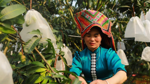 Hội nghị Thủ tướng Chính phủ đối thoại với nông dân: Cần có 'cú hích' đủ mạnh về cơ chế, chính sách