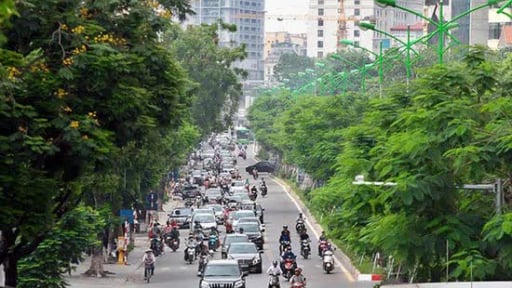 Hà Nội trồng thêm 250.000 cây xanh năm 2024 