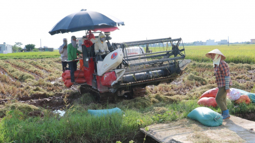 Thái Bình phát triển HTX nông nghiệp gắn với xây dựng nông thôn mới