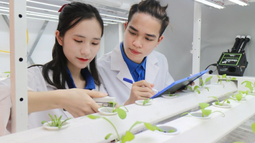 Đột phá KHCN từ Nghị quyết 57: Áp dụng cơ chế 'đặt hàng', tránh tình trạng 'trên rải thảm, dưới rải đinh' (Bài cuối)