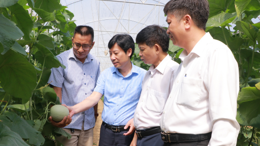 Phó Chủ tịch Trung ương Hội NDVN Nguyễn Xuân Định: Hướng tới mục tiêu đào tạo, chuẩn hoá cán bộ hội nông dân