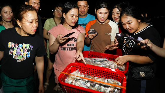 Chợ biển độc lạ ở Hà Tĩnh, người mua kẻ bán họp trong bóng tối, bật đèn pin, điện thoại lên chọn cá, đếm tiền