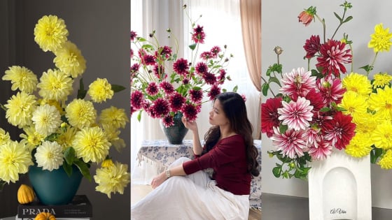 Luộc hoa thược dược trong nước sôi 100 độ C, hoa có thực sự tươi như lời đồn?