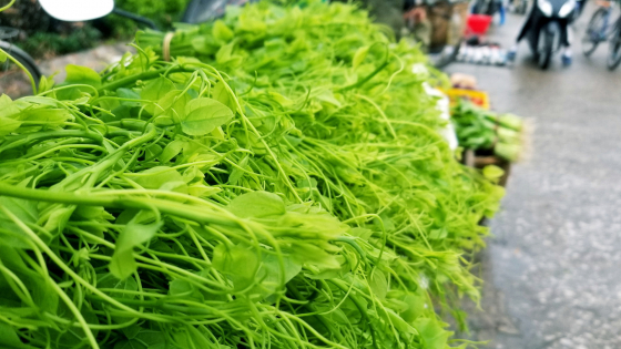 Nghe tên đã thấy ngại, dân tình vẫn lùng mua thứ rau này