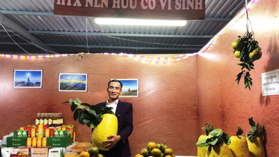 Ngành kinh tế hợp tác và PTNT ứng phó với đại dịch Covid-19