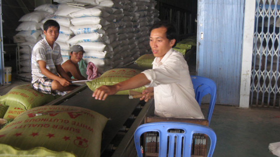 Xuất khẩu gạo khởi sắc nhờ giá... rẻ nhất thế giới ?