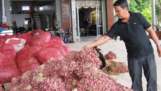 Từ lượm phân bò trở thành giám đốc thành đạt