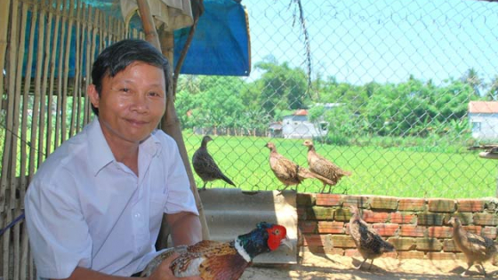 Nên cơ nghiệp từ 4 con chim trĩ