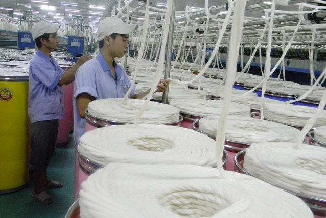 Quý 1/2019: Nhập khẩu bông từ Argentina tăng đột biến