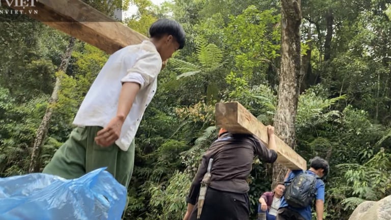 'Moi ruột' Vườn quốc gia Hoàng Liên (Bài 2): 'Lâm tặc' kể mánh phá rừng pơ mu ngay giữa lõi Vườn quốc gia
