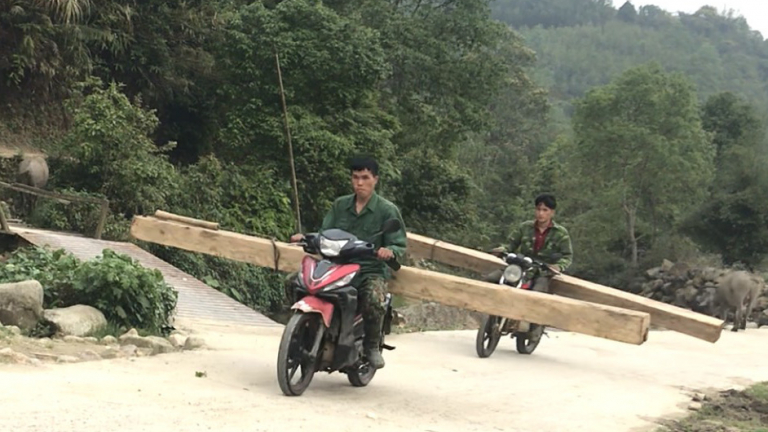 'Moi ruột' Vườn quốc gia Hoàng Liên (Bài 3): Kiểm lâm đi qua, gỗ quý vẫn được tuồn ra khỏi rừng