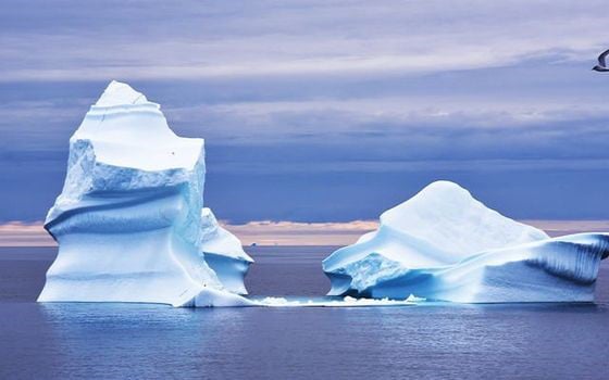 Các nhà khoa học cảnh báo dòng chảy của Greenland chứa mức thủy ngân độc hại đáng báo động