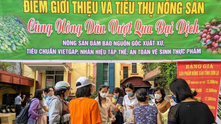 15 tấn nông sản Sơn La được Hải Phòng hỗ trợ tiêu thụ không lợi nhuận