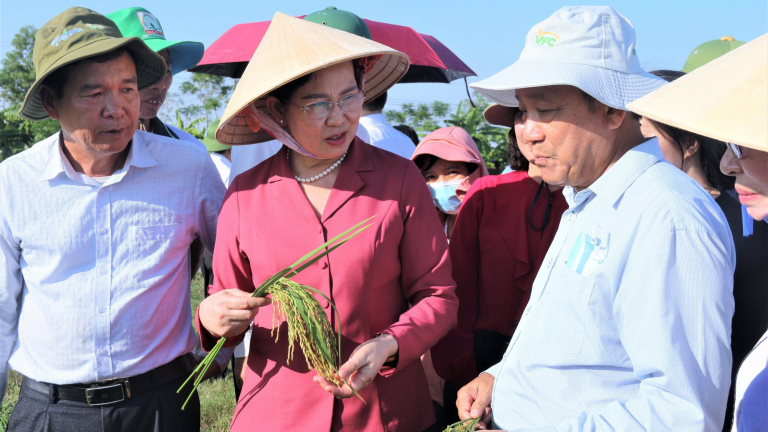 Bí thư Tỉnh ủy Hà Nam ấn tượng với mô hình canh tác lúa sử dụng phân bón hữu cơ PAN