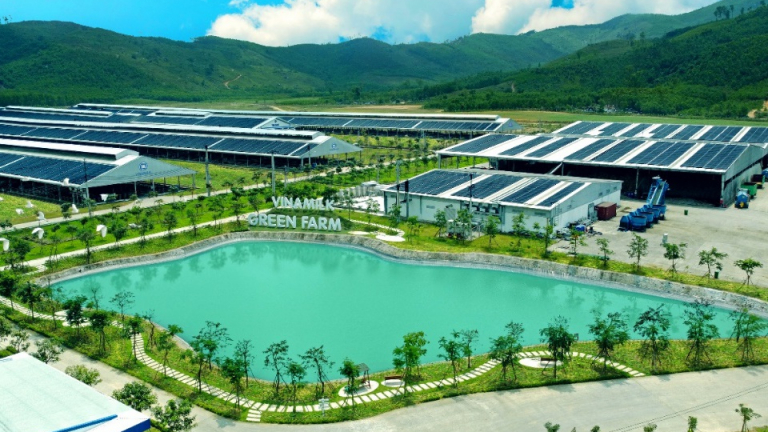 VINAMILK nhận giải thưởng quốc tế cho những nỗ lực thúc đẩy CSR và ESG tại Việt Nam